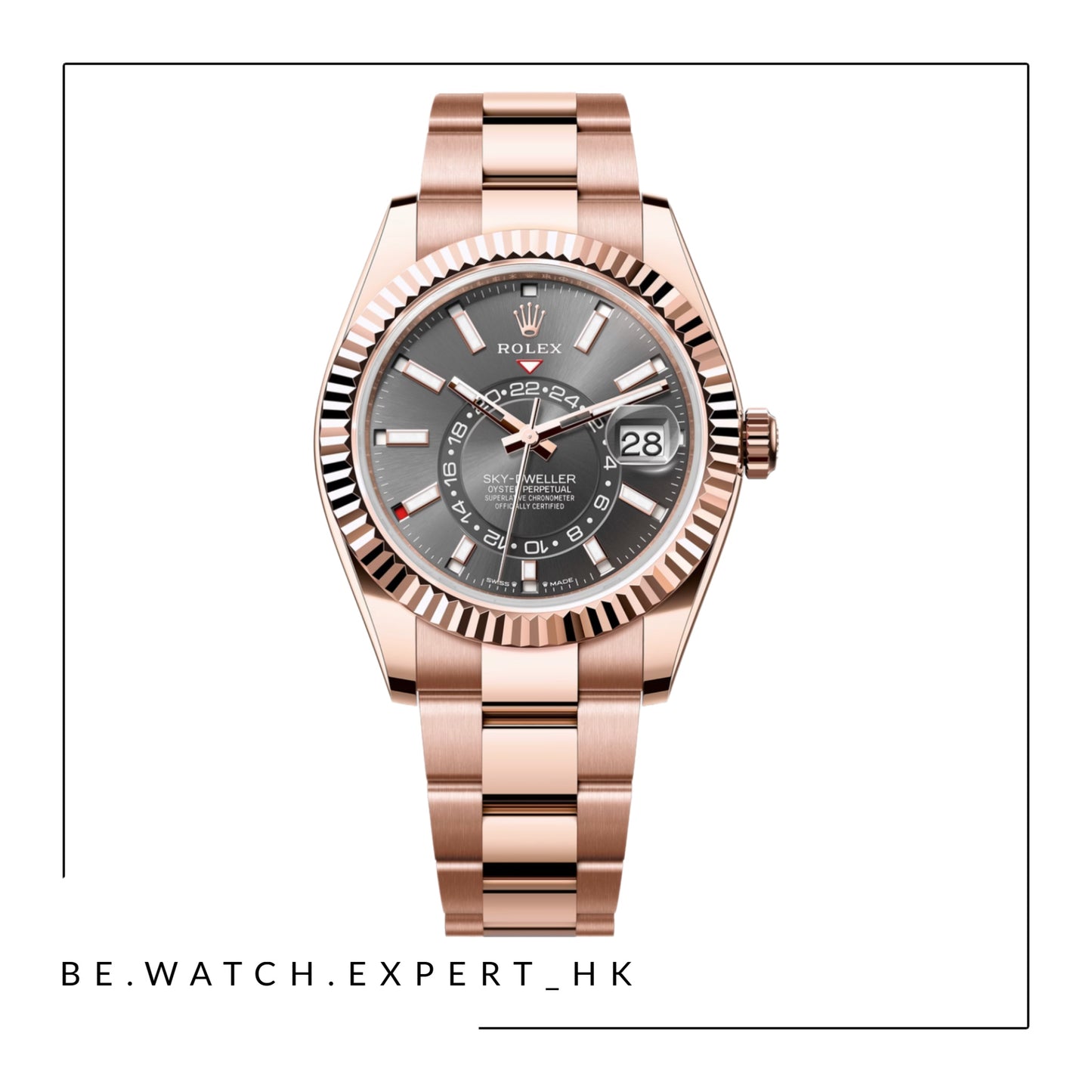 SKY-DWELLER - 336935